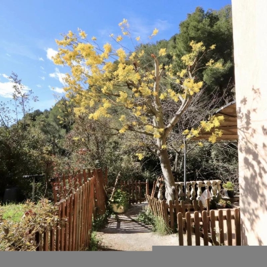  ANTIQUE IMMO NETWORK : Maison / Villa | CANTARON (06340) | 169 m2 | 590 000 € 