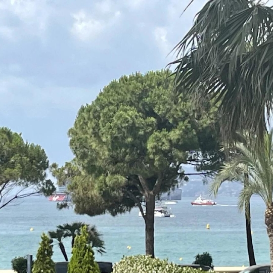 ANTIQUE IMMO NETWORK : Appartement | CANNES (06400) | 76.00m2 | 1 690 000 € 
