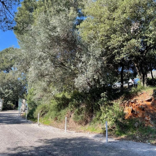  ANTIQUE IMMO NETWORK : Maison / Villa | VALLAURIS (06220) | 35 m2 | 249 000 € 