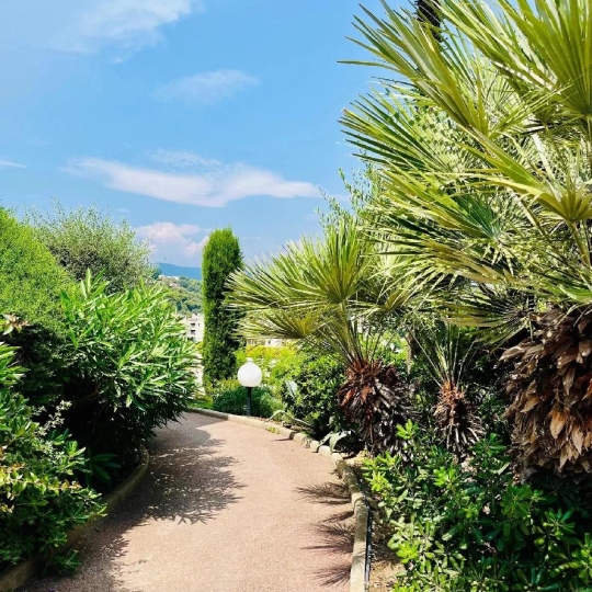 ANTIQUE IMMO NETWORK : Apartment | NICE (06200) | 29.00m2 | 229 000 € 