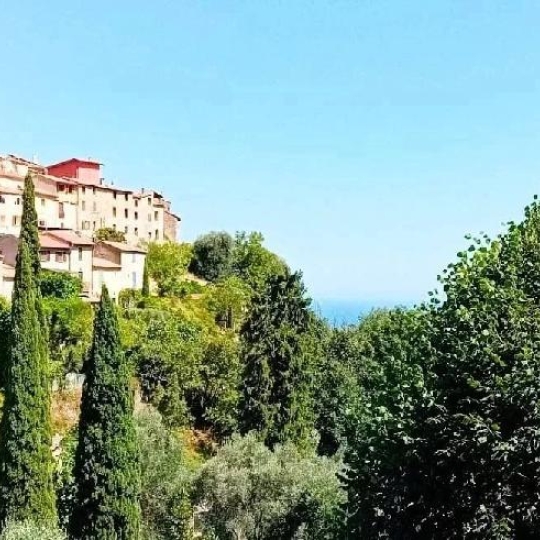  ANTIQUE IMMO NETWORK : Immeuble | GORBIO (06500) | 275 m2 | 928 000 € 