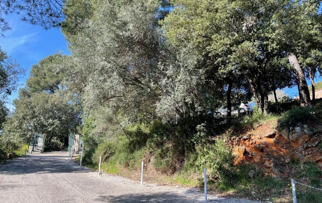 ANTIQUE IMMO NETWORK : Maison / Villa | VALLAURIS (06220) | 35 m2 | 249 000 € 