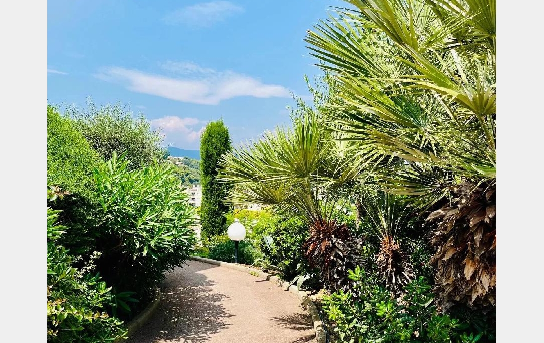 ANTIQUE IMMO NETWORK : Apartment | NICE (06200) | 29 m2 | 229 000 € 