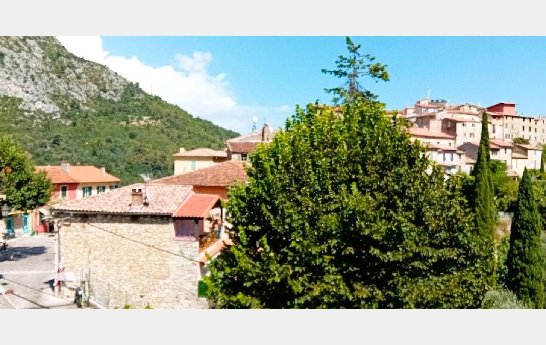 ANTIQUE IMMO NETWORK : Immeuble | GORBIO (06500) | 275 m2 | 928 000 € 