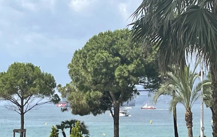  ANTIQUE IMMO NETWORK Appartement | CANNES (06400) | 76 m2 | 1 690 000 € 